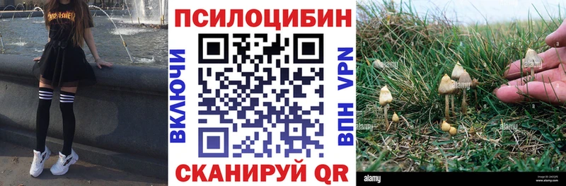 Галлюциногенные грибы Cubensis Жирновск